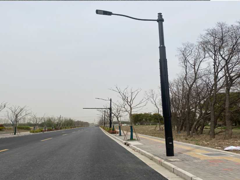 大姚县上海综合杆 太阳能路灯工程